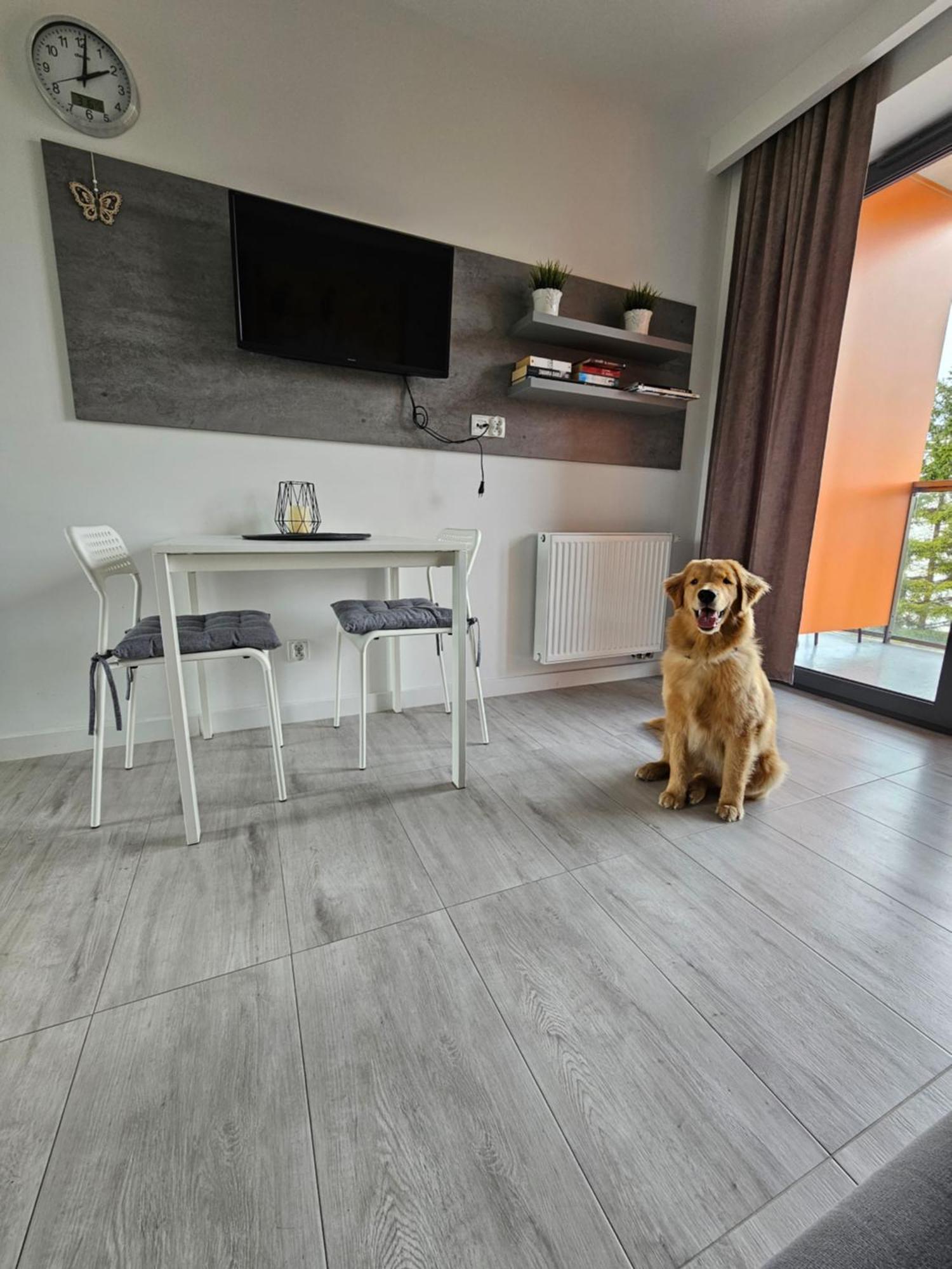 Apartament B106 - Residence Jastrzebia Gora Ngoại thất bức ảnh